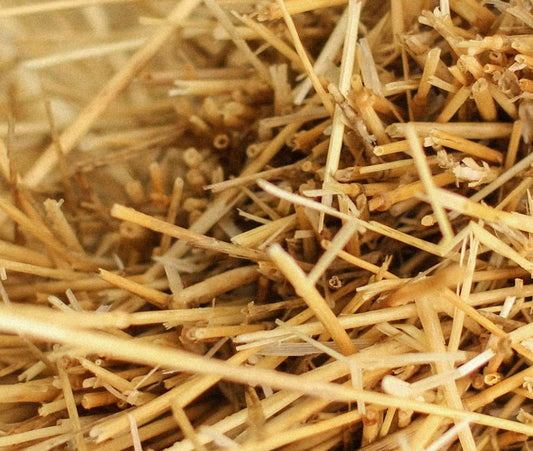 Straw Bale